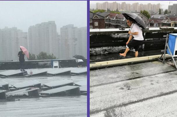 陳岳平與陳建明兩位領導不顧風急雨驟,跑到公司的樓頂疏通積水